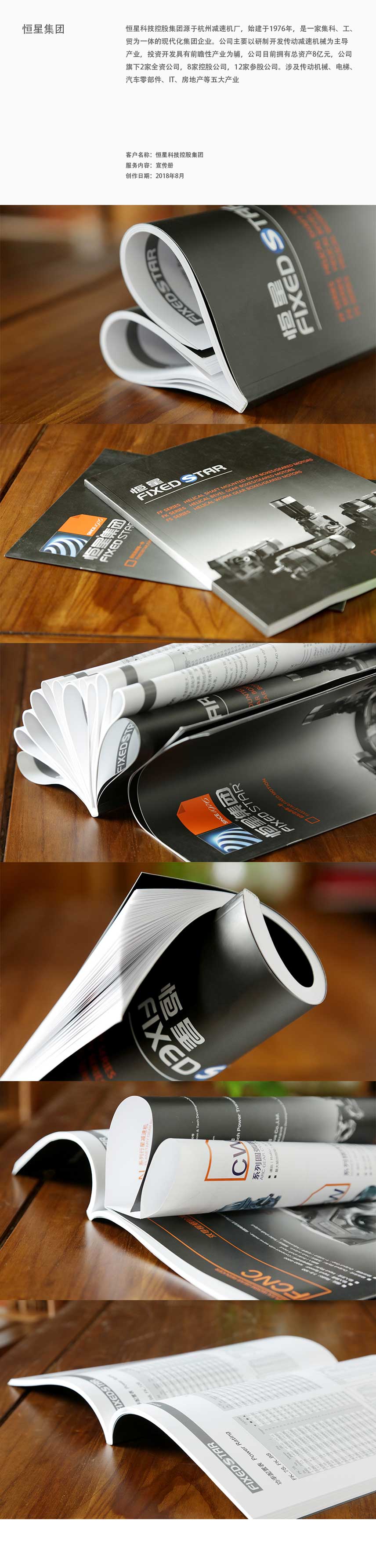 恒星集团画册.jpg